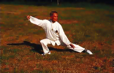 Fundamentals of Chi Kung and Tai Chi