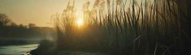 Why Softer Can Be Stronger