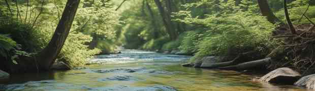 The Quiet Path to Career Fulfilment