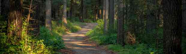 Discovering Depth in Your Tai Chi